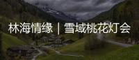 林海情缘｜雪域桃花灯会探营
，氛围感拉满！