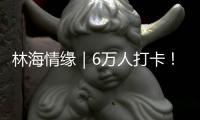林海情缘｜6万人打卡！米林桃花旅游文化活动“火”了