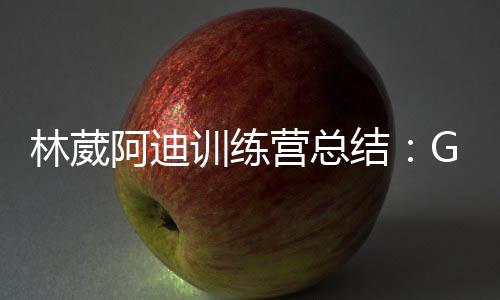 阿迪得到19分全队第二高得分