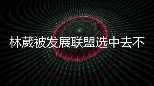 林葳基本上不会再回到CBA