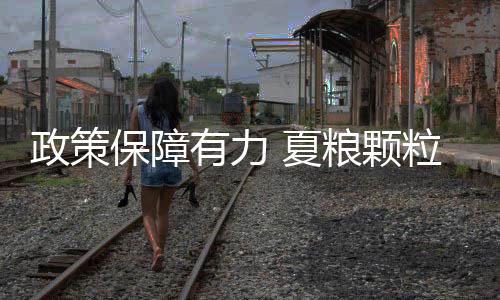 “好麦子才能产出好面粉