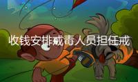 快排公司十年历程，霸屏兔 seo 的崛起与坚守