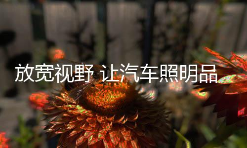 视野通过完善行业标准