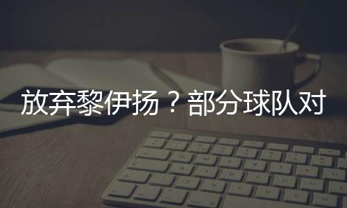 即便黎伊扬加盟其他球队
