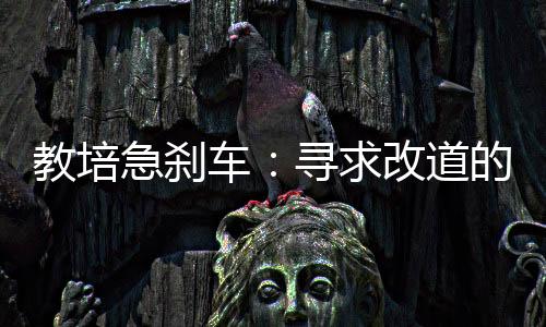 之后一直在看三年级语文课本