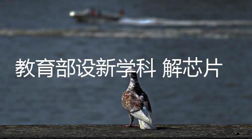 新学芯片做好人才培养工作
