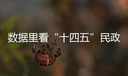 规划主要发展指标中