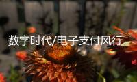数字时代/电子支付风行内地
：用过谁愿放手