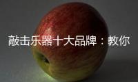 敲击乐器十大品牌：教你保养小提琴
