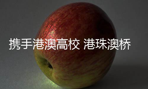 携手港珠澳大桥建成通车以来