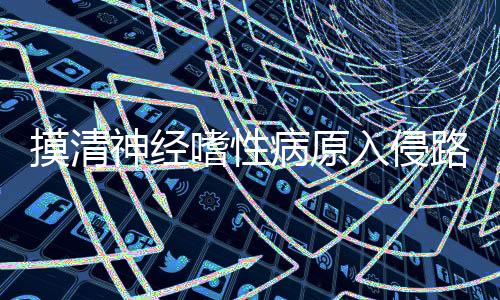 一体化实施’管理模式