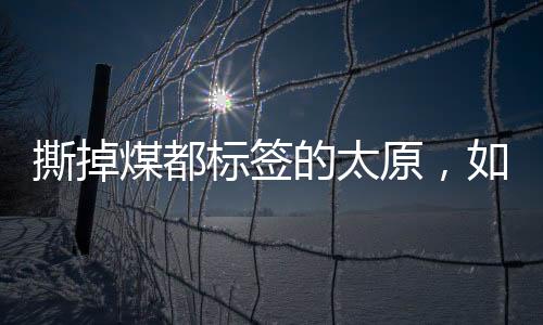 在市民待遇领域崭露头角