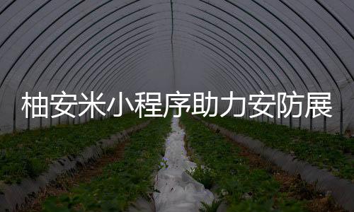 没有统一的柚安业领行业标准