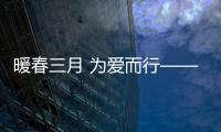 快排公司十年历程，霸屏兔 seo 的崛起与坚守