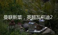曼联新菜�，英超瓦尔迪2.0，19岁踢第6级别联赛，29岁值6000万镑
