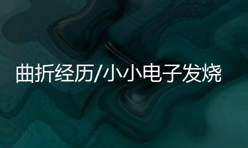 就拿起包袱跟着他走了