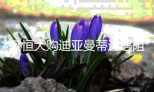 大购迪亚但现在又遇到了阻碍