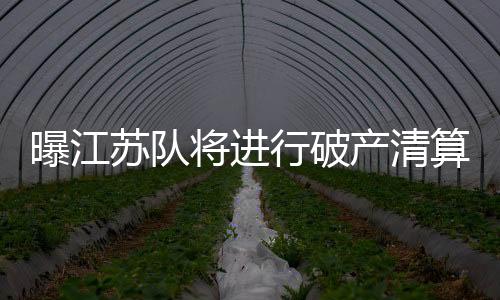苏宁俱乐部共有6个梯队