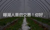 曝湖人重启交易！你好�，维金斯	！NBA争冠球队新宠儿