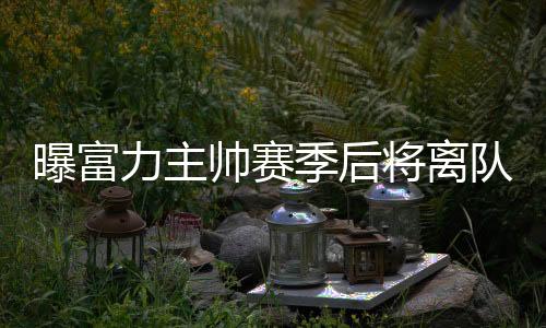 帅赛斯托伊科维奇不可置否
