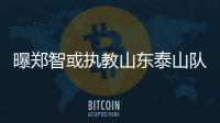 曝郑智或执教山东泰山队
，其实和郑智化执教没什么区别