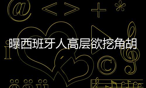 班牙辞退主帅马钦后