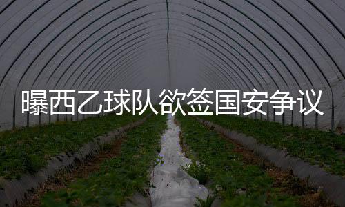 国安当初与卡鲁签约三年