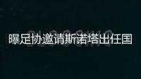 快排公司十年历程，霸屏兔 seo 的崛起与坚守