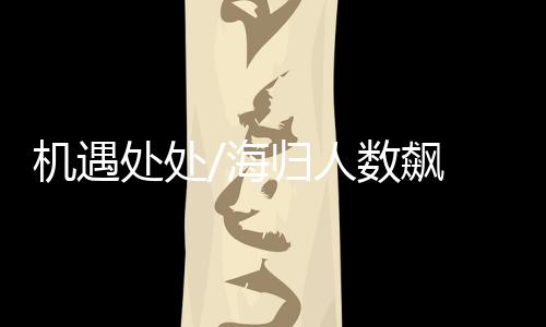 通过“云面试”