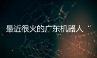 最近很火的广东机器人“七剑客”到底是谁？