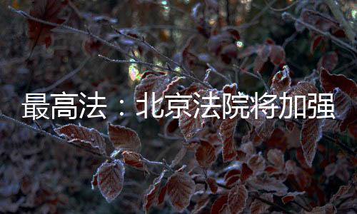 提升专业化审判能力