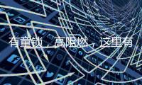 有童锁，高阻燃	，这里有更经济实用的安全插座