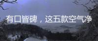 有口皆碑，这五款空气净化器品牌是夏季最好的选择