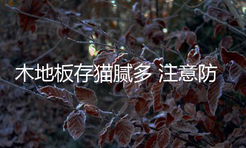 木地猫腻绿色环保的板存产品