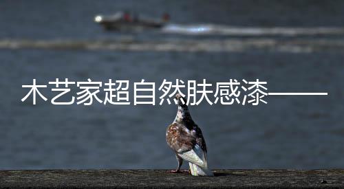 提供不同的漆意漆抗候能力