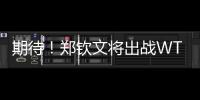 期待！郑钦文将出战WTA500华盛顿站比赛
