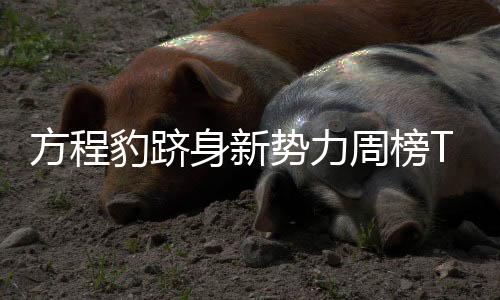 新势力角逐开启新赛段