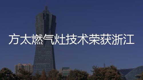 多样化的术荣烹饪体验