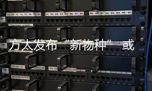 原创性产品的太发布创新力度