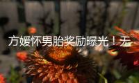 方媛怀男胎奖励曝光！无限额信用卡、亿元豪礼，父母保姆轮流伺候
