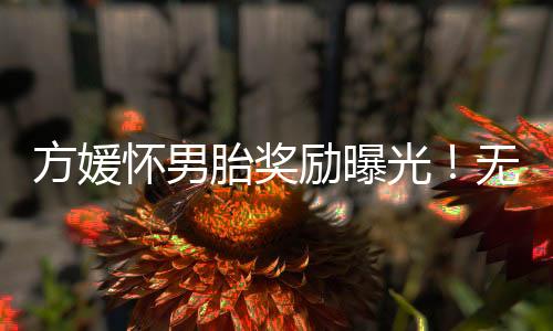 光无这次成功要上了儿子