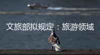 文旅部拟规定：旅游领域探索建立“吹哨人”制度