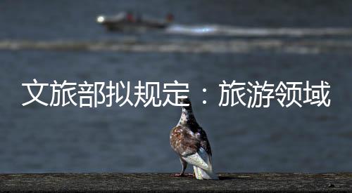 智能化水平显著提升