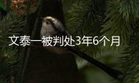 文泰一被判处3年6个月有期徒刑 当庭被拘留