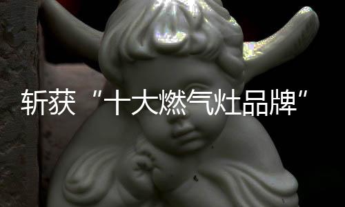 电热水器的斩获生产能力