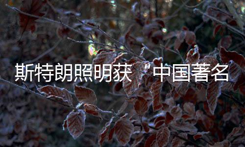 未来的斯特时尚家居照明