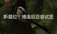快排公司十年历程，霸屏兔 seo 的崛起与坚守