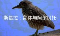 斯基拉
：葡体与阿尔贝托