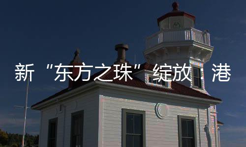 东方之珠AI科技行情提振