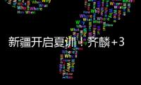 快排公司十年历程，霸屏兔 seo 的崛起与坚守